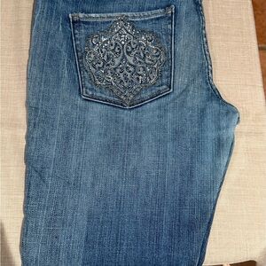 Express Embroidered Blue Jeans